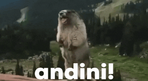 a ground squirrel standing on its hind legs with the word andini behind it