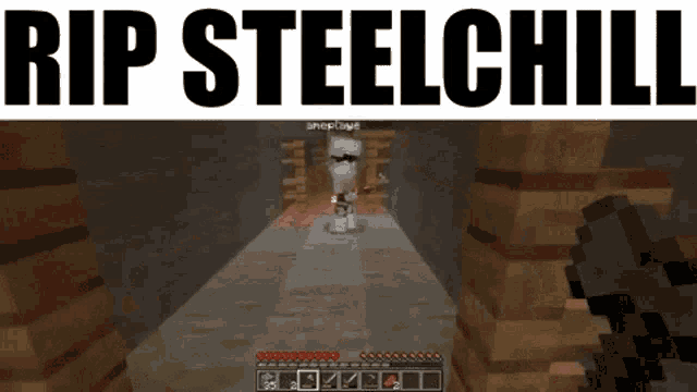 a screenshot of a video game with the words rip steelchill on top
