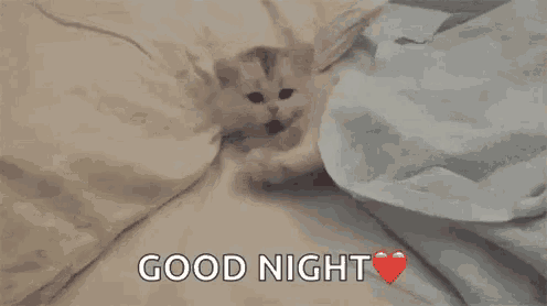 a kitten is laying under a blanket on a bed with the words `` good night '' written on it .