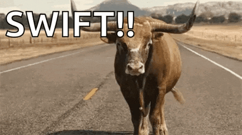 a bull with long horns is standing on the side of a highway .