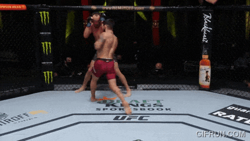 two men are fighting in a ufc ring sponsored by draft kings