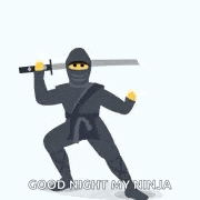 a ninja is holding a sword in a cloud of smoke and saying `` good night my ninja '' .