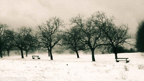 Winter Is Coming GIF - Snow Mother Nature Winter GIFs