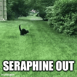 a black cat is playing in the grass with the words `` seraphine out '' .
