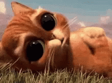 Sad Puss In Boots GIF - Sad Puss In Boots Cute GIFs