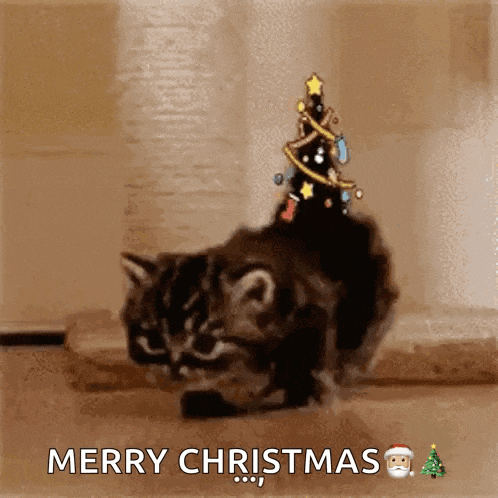 a cat with a christmas tree on its back is laying on the floor .