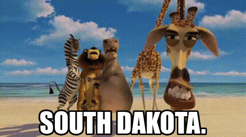 a group of animals standing on a beach with the words south dakota on the bottom