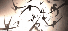 a flock of birds are flying in the sky with a shadow of a person on the ground