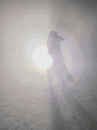 a silhouette of a person standing in front of a bright sun