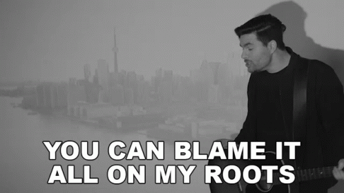 You Can Blame It All On My Roots Steven Lee Olsen GIF - You Can Blame It All On My Roots Steven Lee Olsen Nashville Or Nothing GIFs