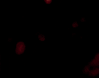 a woman in a red costume is standing in a dark room