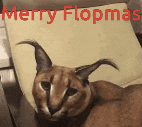 a picture of a cat with the words merry flopmas written above it
