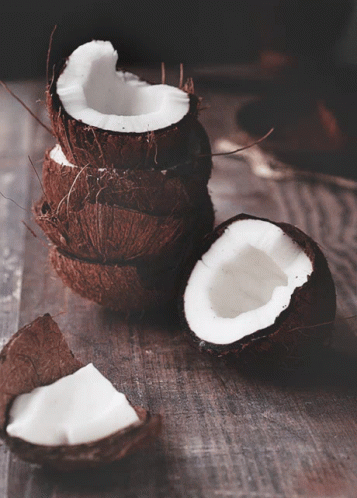 Coconuts Cracked Open GIF