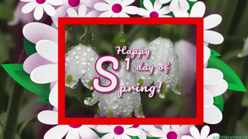 Happy First Day Of Spring Happy Spring GIF - Happy First Day Of Spring Happy Spring Springtime GIFs