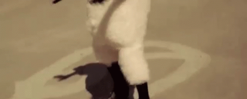 Dancing Dance Moves GIF - Dancing Dance Moves Sheep Costume GIFs