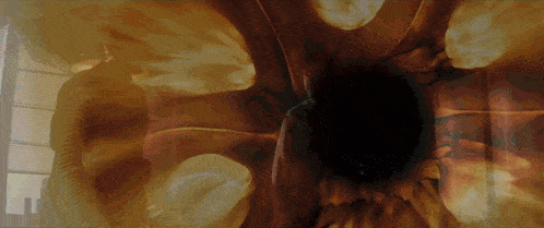 a painting of a flower with a dark center