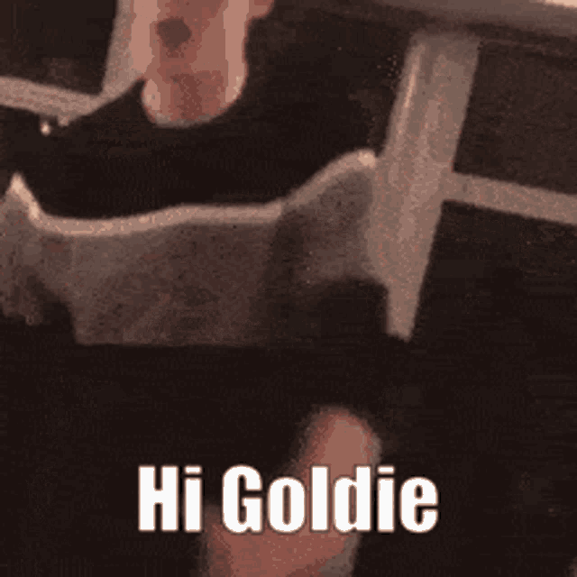 Goldie GIF - Goldie GIFs