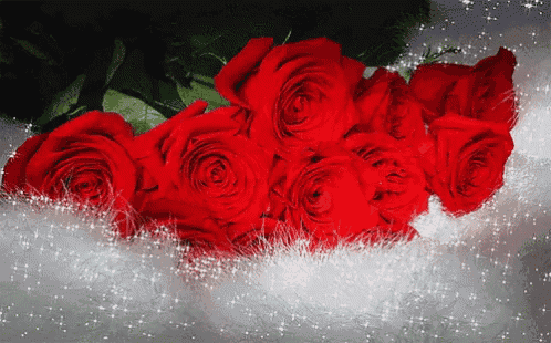 a bunch of red roses laying on a white surface