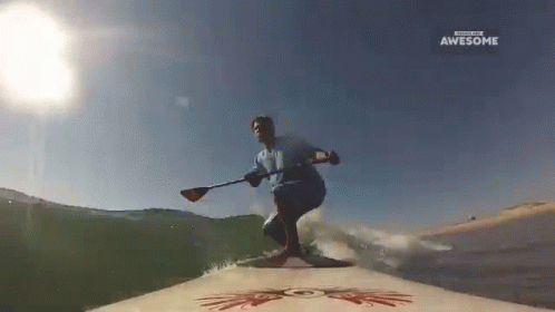 Paddle Water Sport GIF - Paddle Water Sport Surf GIFs