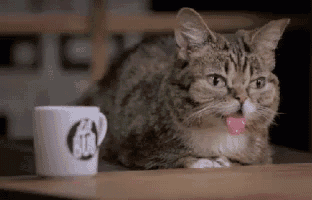 a cat is sticking its tongue out while laying on a table next to a cup .