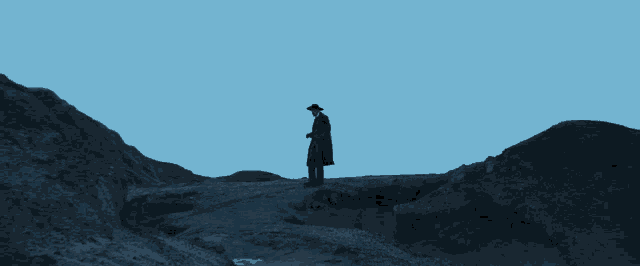 a man in a black coat and hat stands on a hill