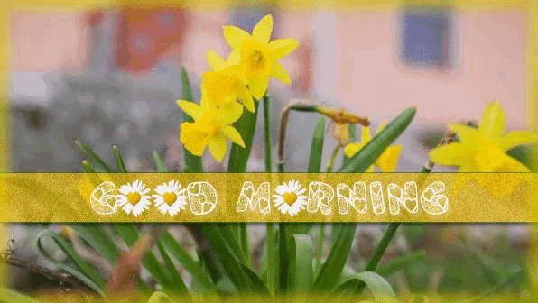 a picture of yellow flowers with the words good morning