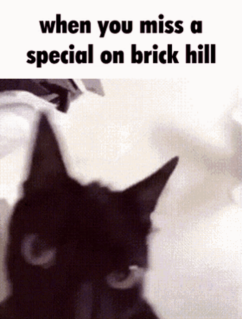 Brick Hill Shaking Cat GIF - Brick Hill Shaking Cat Black Cat GIFs