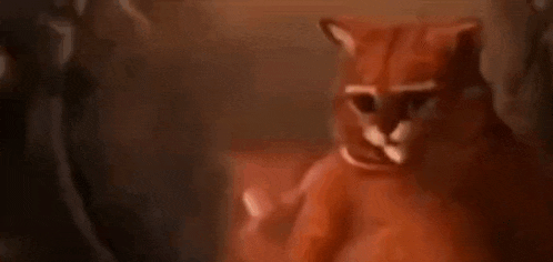 a cat with a sad look on its face is sitting on a bed .