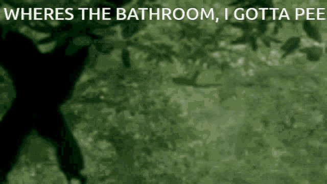 Monkey Swing The Bathroom GIF - Monkey Swing The Bathroom Pee GIFs