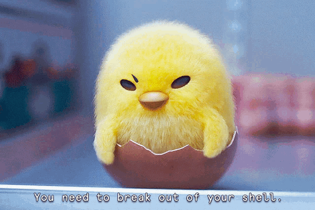 a stuffed yellow chick in an egg with the words " you need to break out of your shell " below it
