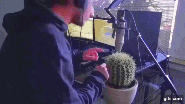 Cactus Party GIF - Cactus Party Music GIFs