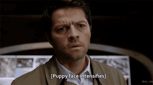 a close up of a man 's face with the words puppy face intensifies