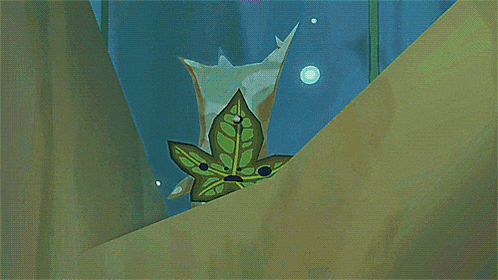 a bunch of leaves are floating in the water