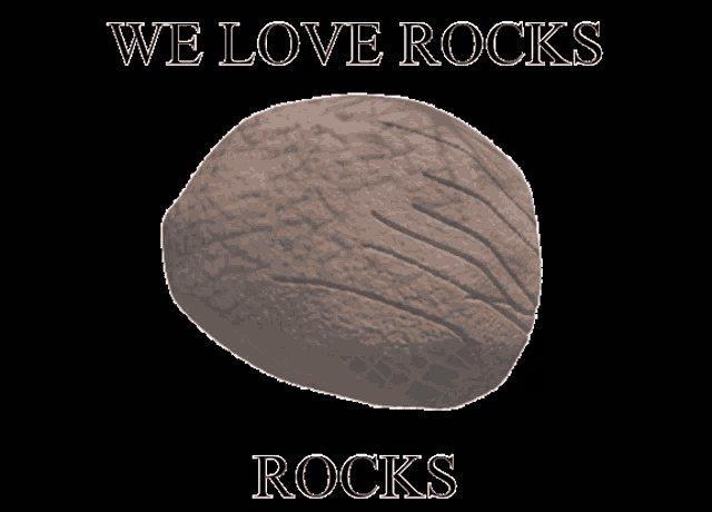 a poster that says we love rocks rocks with a picture of a rock