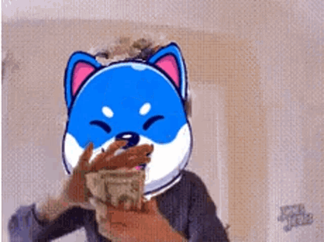 a person wearing a blue cat mask is holding a bunch of money