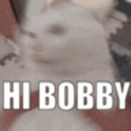 Hi Bobby GIF - Hi Bobby GIFs