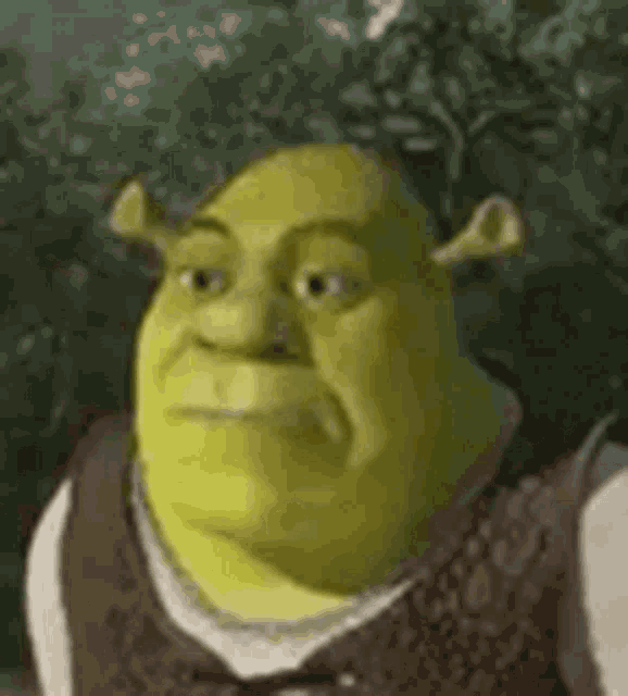 Shrek Shrek1 GIF - Shrek Shrek1 Really GIFs