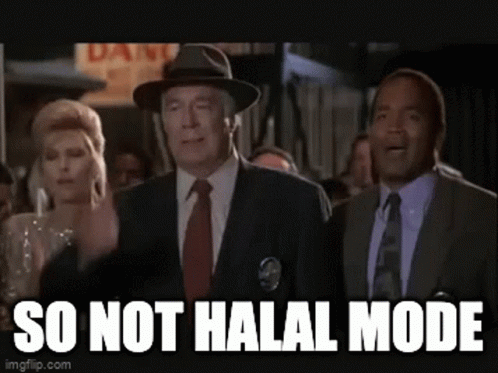Halal Halal Mode GIF - Halal Halal Mode So Not Halal Mode GIFs