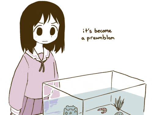 a cartoon of a girl looking at a fish tank with the words it 's become a prawnblem below her