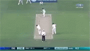 Ashes Cricket GIF - Ashes Cricket GIFs