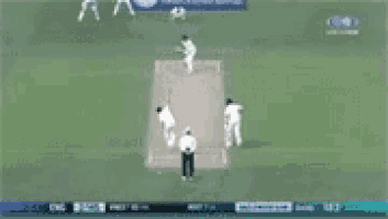 a cricket game is being played on a television screen .