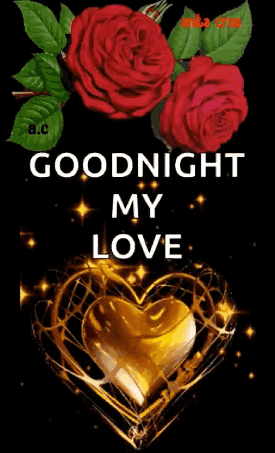 a picture of roses and a heart with the words `` goodnight my love ''