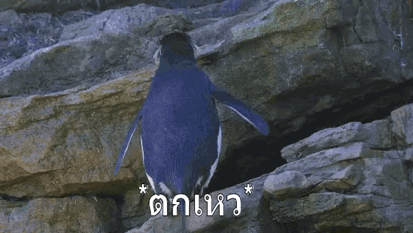 a penguin is standing on a rock with a foreign language behind it .