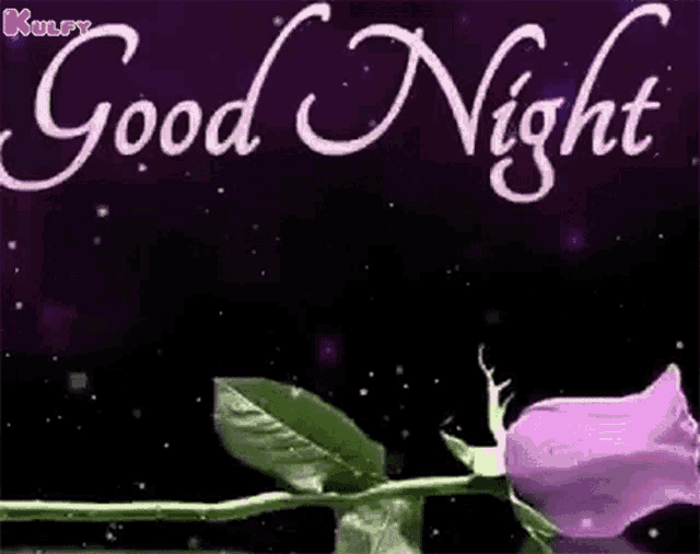 a purple rose is sitting on a green stem with the words `` good night '' written on it .