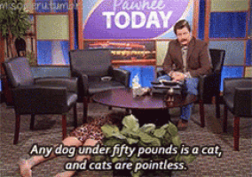 a man sits at a table with a woman laying on the floor in front of a sign that says pawnee today