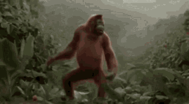 Dancing Orangutan Monkey GIF - Dancing Orangutan Orangutan Monkey GIFs