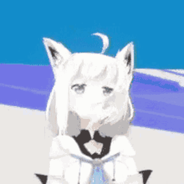 a girl with white hair and cat ears is standing in front of a blue background .