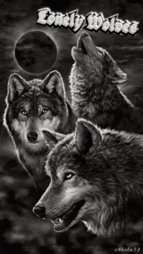 a black and white photo of three wolves howling at the moon