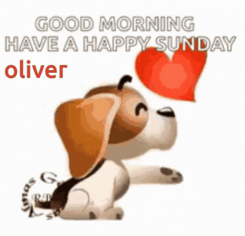 Happy Sunday Oliver Oliver GIF - Happy Sunday Oliver Oliver Happy GIFs
