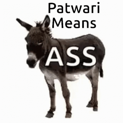 Donkey Patwari Means GIF - Donkey Patwari Means Ass GIFs